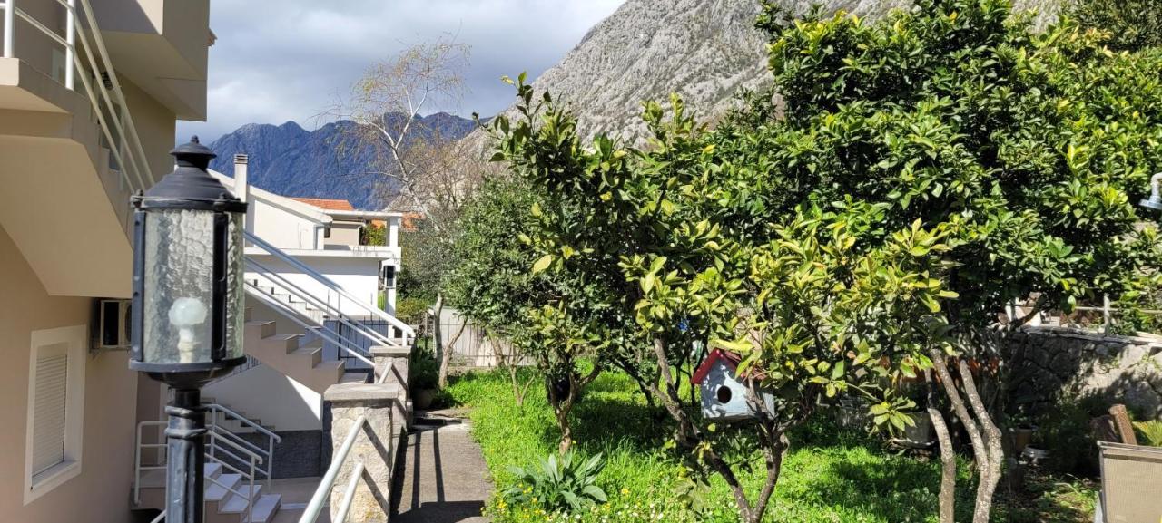 Majka Apartments Kotor Eksteriør bilde